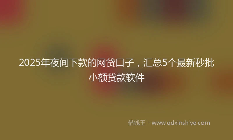 2025年夜间下款的网贷口子，汇总5个最新秒批小额贷款软件