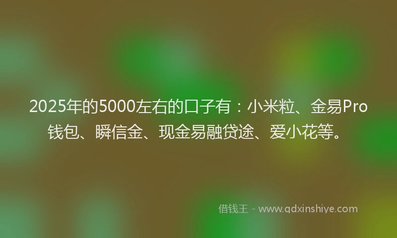 2025年的5000左右的口子有：小米粒、金易Pro钱包、瞬信金、现金易融贷途、爱小花等。
