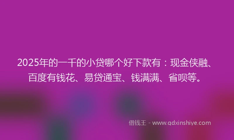 2025年的一千的小贷哪个好下款有：现金侠融、百度有钱花、易贷通宝、钱满满、省呗等。