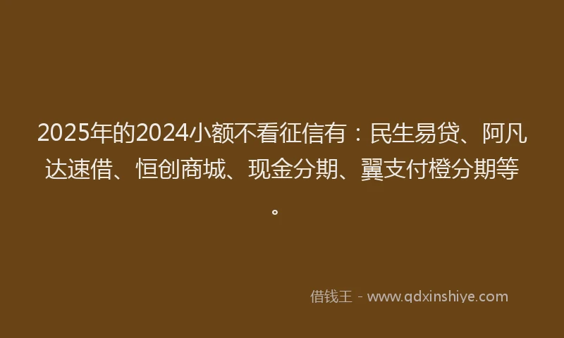 2025年的2024小额不看征信有：民生易贷、阿凡达速借、恒创商城、现金分期、翼支付橙分期等。