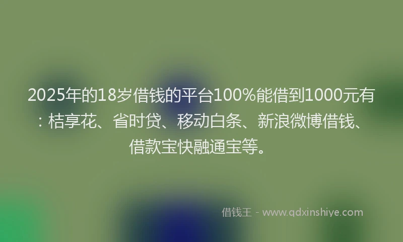 2025年的18岁借钱的平台100%能借到1000元有：桔享花、省时贷、移动白条、新浪微博借钱、借款宝快融通宝等。