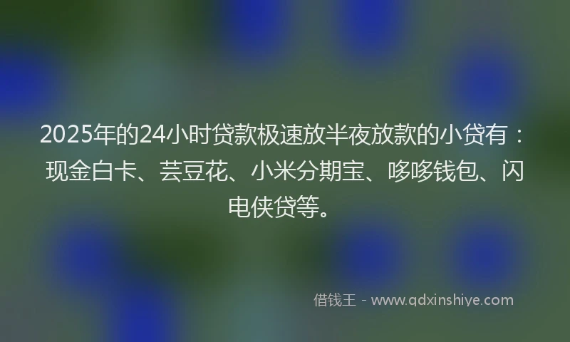 2025年的24小时贷款极速放半夜放款的小贷有：现金白卡、芸豆花、小米分期宝、哆哆钱包、闪电侠贷等。
