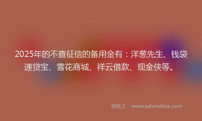 2025年的不查征信的备用金有：洋葱先生、钱袋速贷宝、雪花商城、祥云借款、现金侠等。
