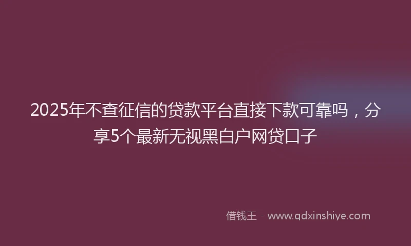 2025年不查征信的贷款平台直接下款可靠吗，分享5个最新无视黑白户网贷口子