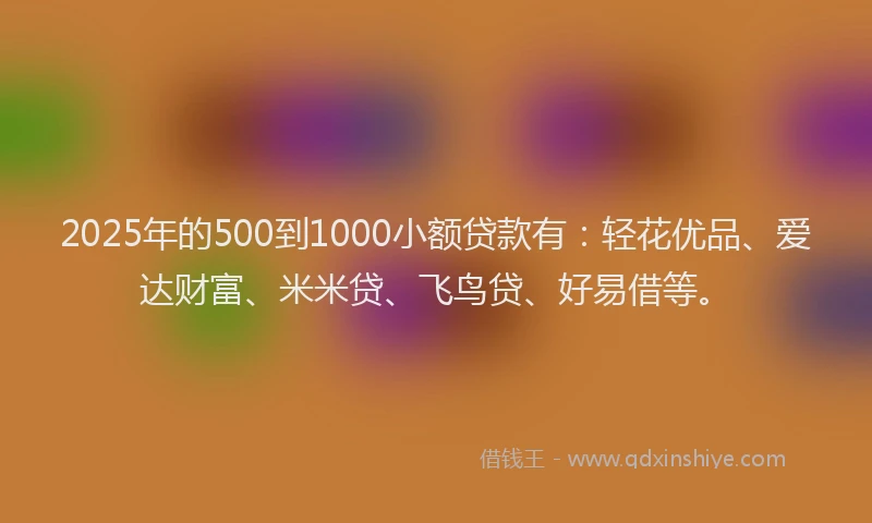 2025年的500到1000小额贷款有：轻花优品、爱达财富、米米贷、飞鸟贷、好易借等。