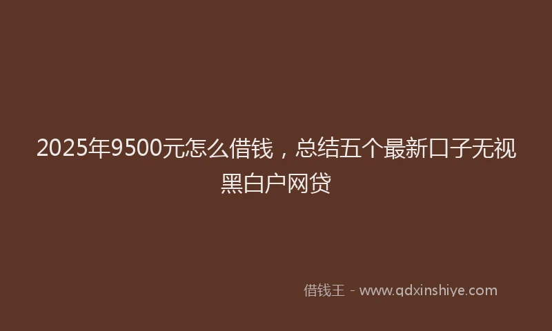 2025年9500元怎么借钱，总结五个最新口子无视黑白户网贷