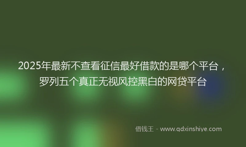2025年最新不查看征信最好借款的是哪个平台，罗列五个真正无视风控黑白的网贷平台
