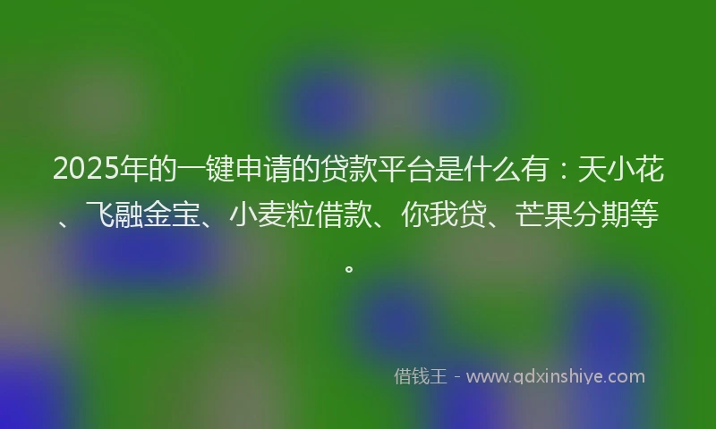 2025年的一键申请的贷款平台是什么有：天小花、飞融金宝、小麦粒借款、你我贷、芒果分期等。