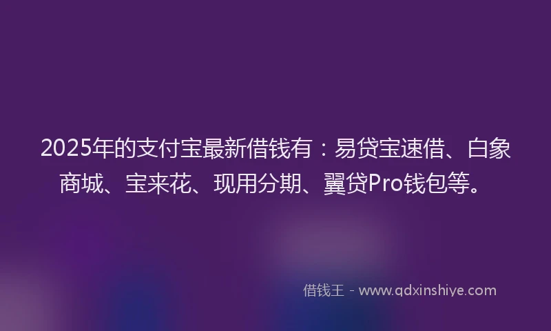 2025年的支付宝最新借钱有：易贷宝速借、白象商城、宝来花、现用分期、翼贷Pro钱包等。