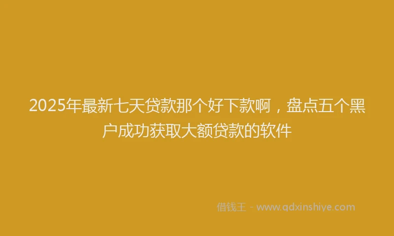 2025年最新七天贷款那个好下款啊，盘点五个黑户成功获取大额贷款的软件