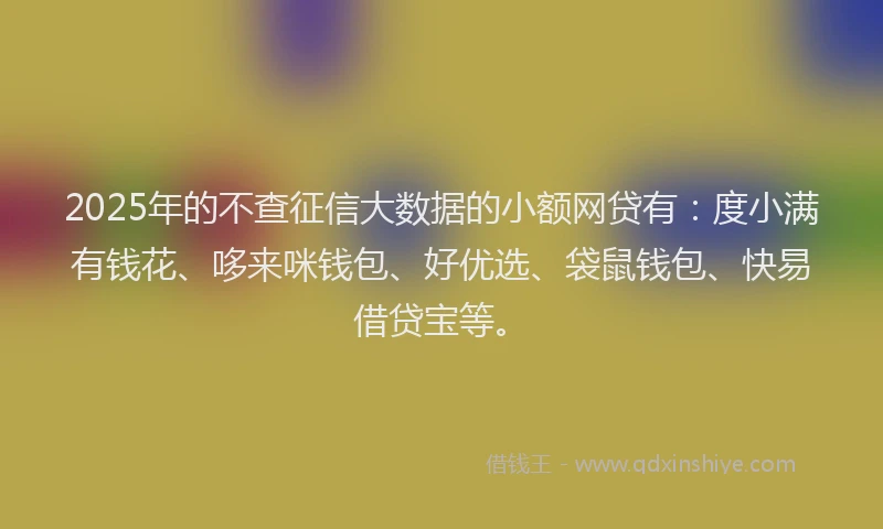 2025年的不查征信大数据的小额网贷有：度小满有钱花、哆来咪钱包、好优选、袋鼠钱包、快易借贷宝等。