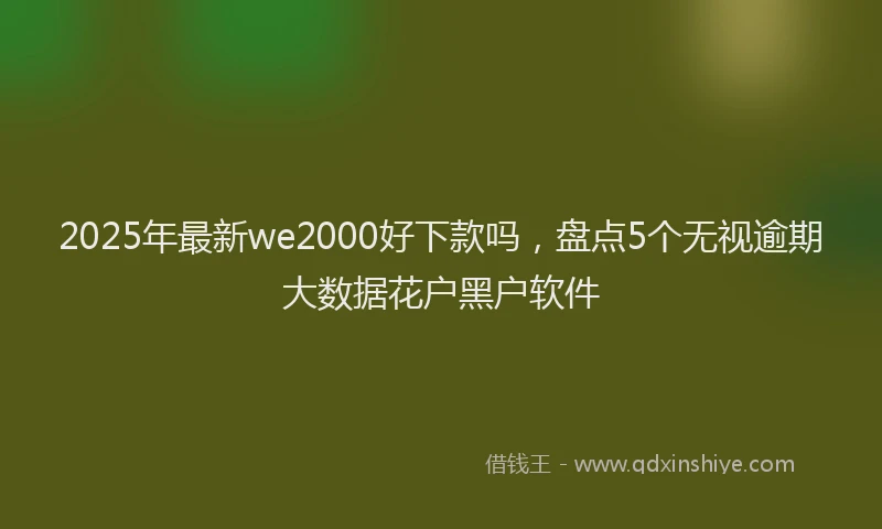 2025年最新we2000好下款吗，盘点5个无视逾期大数据花户黑户软件