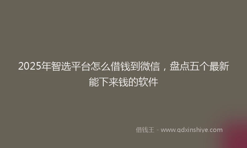2025年智选平台怎么借钱到微信，盘点五个最新能下来钱的软件