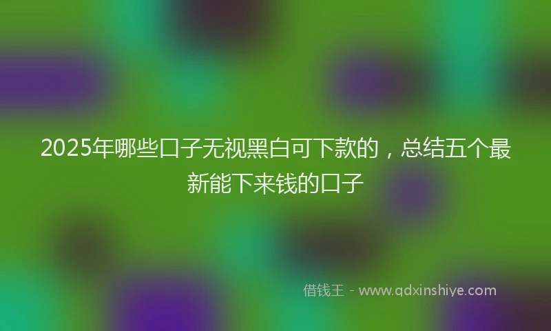 2025年哪些口子无视黑白可下款的，总结五个最新能下来钱的口子