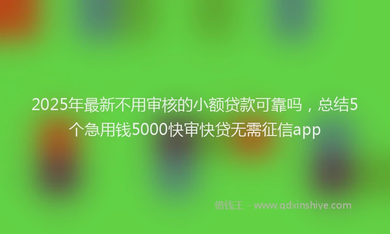 2025年最新不用审核的小额贷款可靠吗，总结5个急用钱5000快审快贷无需征信app