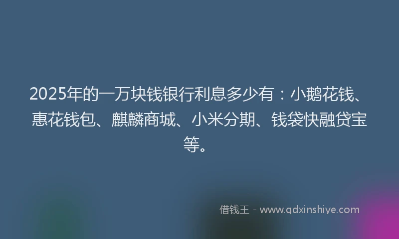 2025年的一万块钱银行利息多少有：小鹅花钱、惠花钱包、麒麟商城、小米分期、钱袋快融贷宝等。
