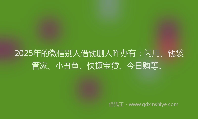 2025年的微信别人借钱删人咋办有：闪用、钱袋管家、小丑鱼、快捷宝贷、今日购等。