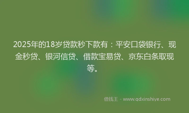 2025年的18岁贷款秒下款有：平安口袋银行、现金秒贷、银河信贷、借款宝易贷、京东白条取现等。