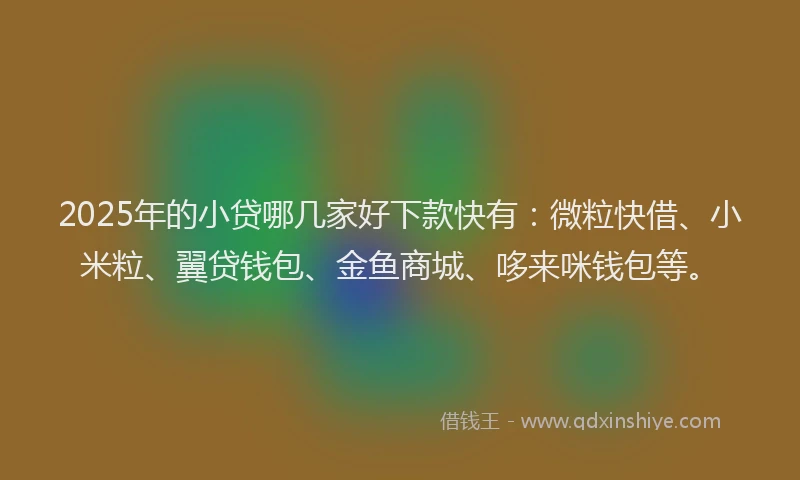 2025年的小贷哪几家好下款快有：微粒快借、小米粒、翼贷钱包、金鱼商城、哆来咪钱包等。