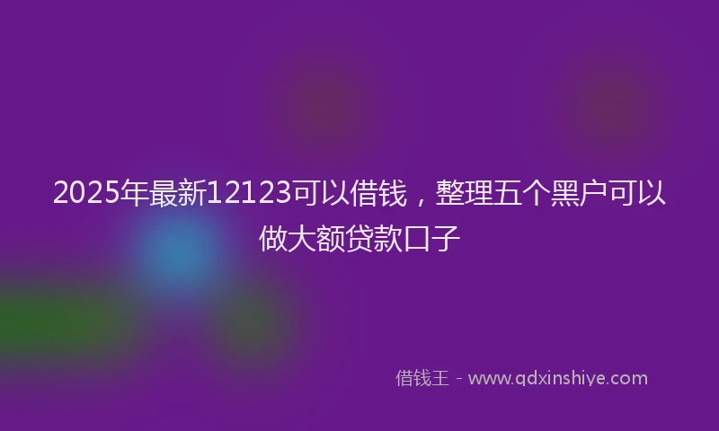 2025年最新12123可以借钱，整理五个黑户可以做大额贷款口子