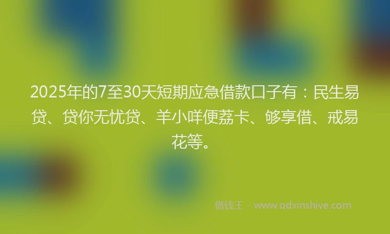 2025年的7至30天短期应急借款口子有：民生易贷、贷你无忧贷、羊小咩便荔卡、够享借、戒易花等。