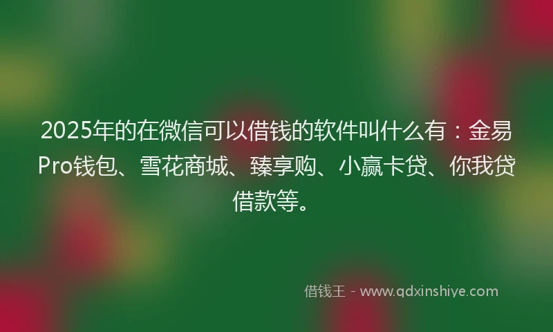 2025年的在微信可以借钱的软件叫什么有：金易Pro钱包、雪花商城、臻享购、小赢卡贷、你我贷借款等。