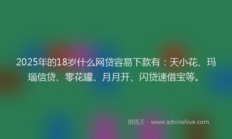 2025年的18岁什么网贷容易下款有：天小花、玛瑙信贷、零花罐、月月开、闪贷速借宝等。