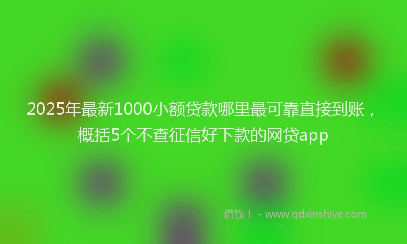 2025年最新1000小额贷款哪里最可靠直接到账，概括5个不查征信好下款的网贷app