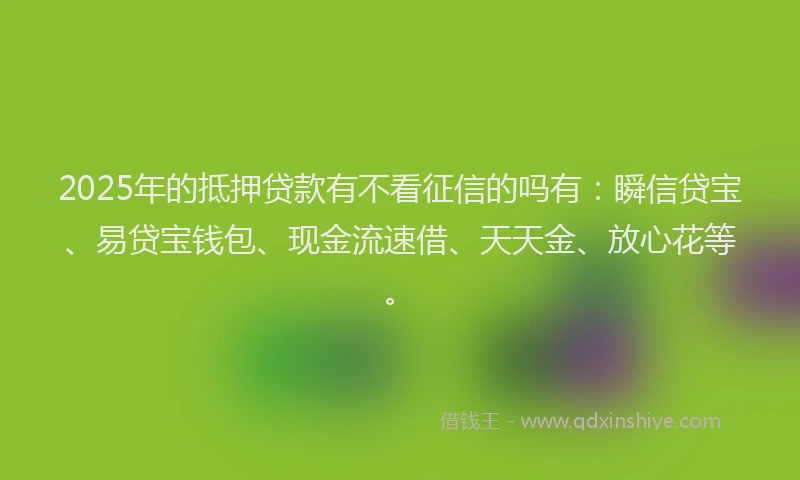 2025年的抵押贷款有不看征信的吗有：瞬信贷宝、易贷宝钱包、现金流速借、天天金、放心花等。