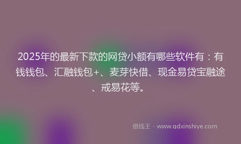 2025年的最新下款的网贷小额有哪些软件有：有钱钱包、汇融钱包+、麦芽快借、现金易贷宝融途、戒易花等。