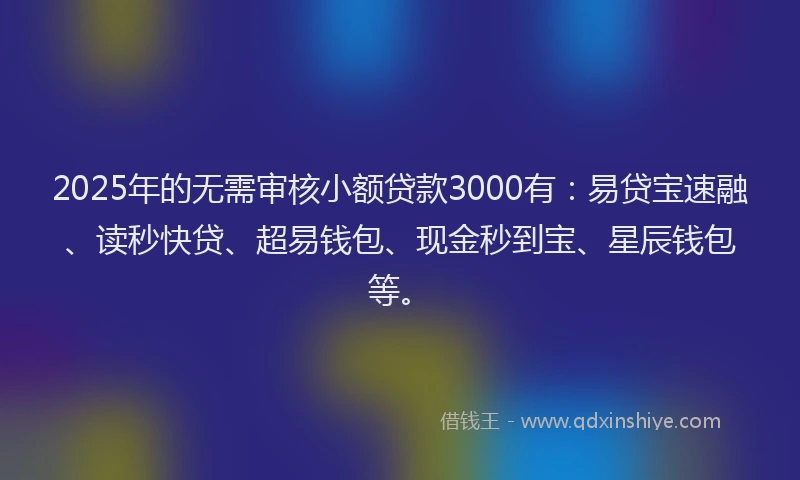 2025年的无需审核小额贷款3000有：易贷宝速融、读秒快贷、超易钱包、现金秒到宝、星辰钱包等。