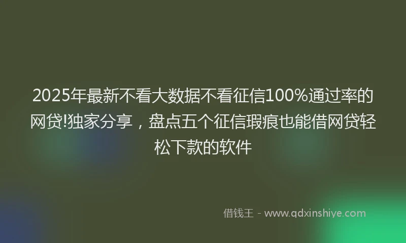 2025年最新不看大数据不看征信100%通过率的网贷!独家分享，盘点五个征信瑕疵也能借网贷轻松下款的软件