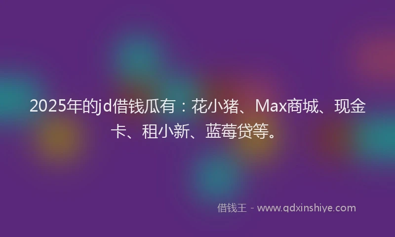 2025年的jd借钱瓜有：花小猪、Max商城、现金卡、租小新、蓝莓贷等。