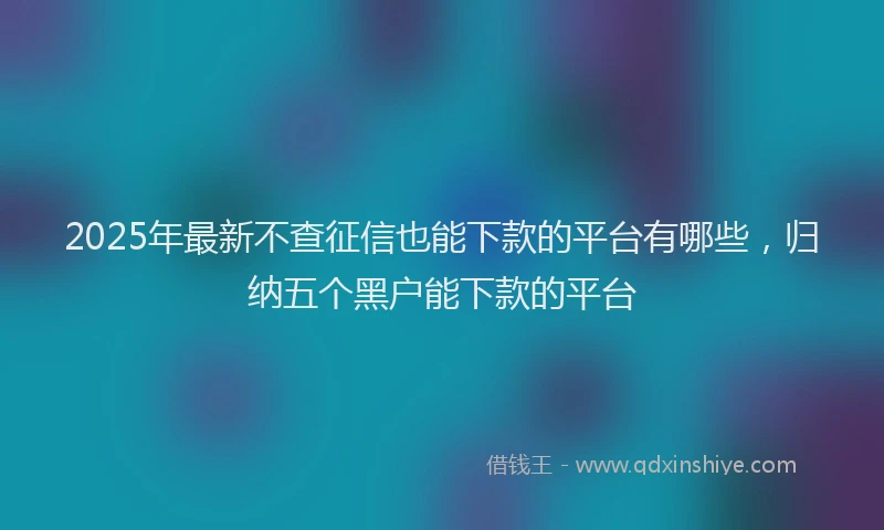 2025年最新不查征信也能下款的平台有哪些，归纳五个黑户能下款的平台