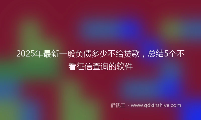 2025年最新一般负债多少不给贷款，总结5个不看征信查询的软件