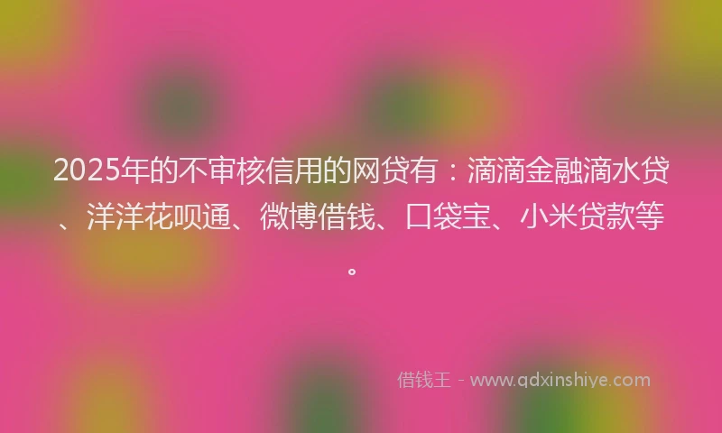 2025年的不审核信用的网贷有：滴滴金融滴水贷、洋洋花呗通、微博借钱、口袋宝、小米贷款等。