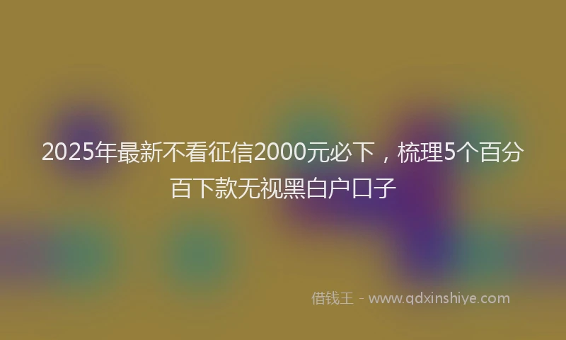 2025年最新不看征信2000元必下，梳理5个百分百下款无视黑白户口子