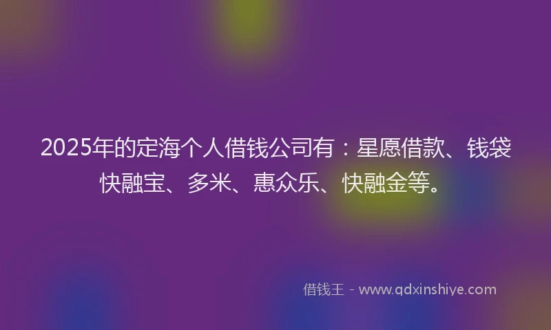2025年的定海个人借钱公司有：星愿借款、钱袋快融宝、多米、惠众乐、快融金等。