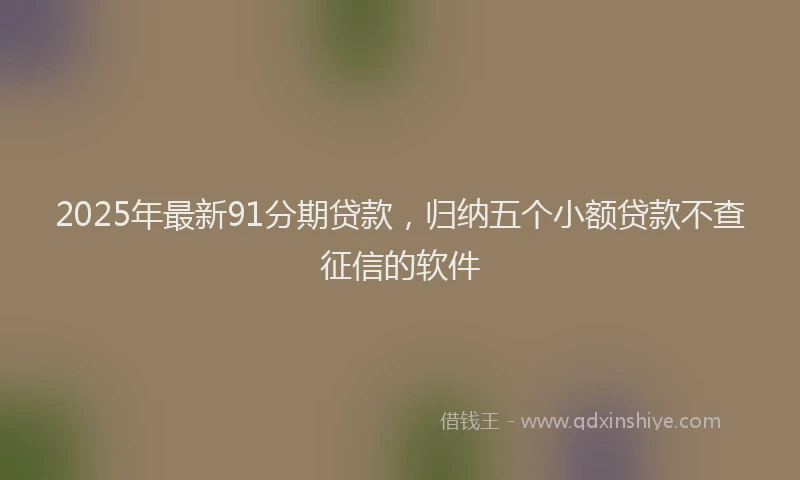 2025年最新91分期贷款，归纳五个小额贷款不查征信的软件