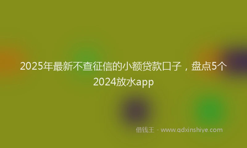 2025年最新不查征信的小额贷款口子，盘点5个2024放水app