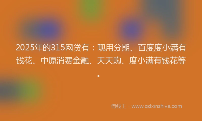 2025年的315网贷有：现用分期、百度度小满有钱花、中原消费金融、天天购、度小满有钱花等。
