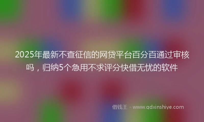 2025年最新不查征信的网贷平台百分百通过审核吗，归纳5个急用不求评分快借无忧的软件