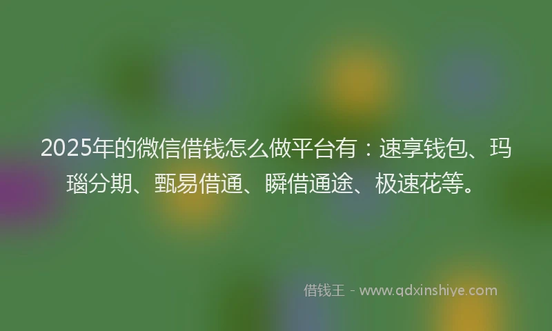 2025年的微信借钱怎么做平台有：速享钱包、玛瑙分期、甄易借通、瞬借通途、极速花等。