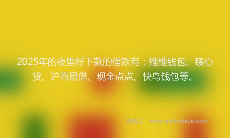 2025年的夜里好下款的借款有：维维钱包、臻心贷、沪商易借、现金点点、快鸟钱包等。