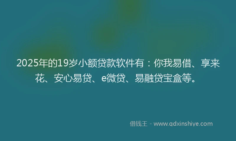 2025年的19岁小额贷款软件有：你我易借、享来花、安心易贷、e微贷、易融贷宝盒等。
