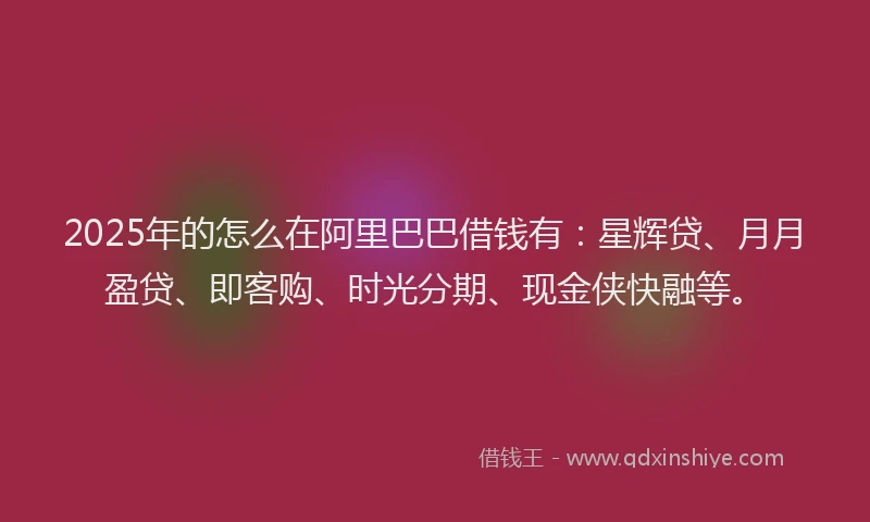 2025年的怎么在阿里巴巴借钱有：星辉贷、月月盈贷、即客购、时光分期、现金侠快融等。
