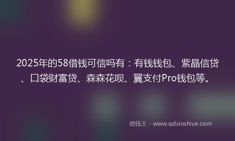 2025年的58借钱可信吗有：有钱钱包、紫晶信贷、口袋财富贷、森森花呗、翼支付Pro钱包等。