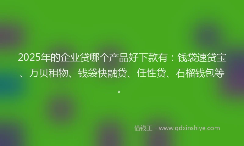 2025年的企业贷哪个产品好下款有：钱袋速贷宝、万贝租物、钱袋快融贷、任性贷、石榴钱包等。
