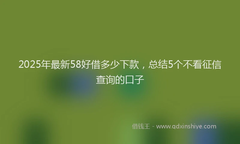 2025年最新58好借多少下款，总结5个不看征信查询的口子