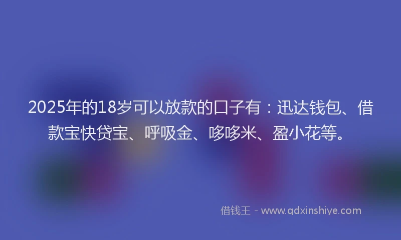 2025年的18岁可以放款的口子有：迅达钱包、借款宝快贷宝、呼吸金、哆哆米、盈小花等。